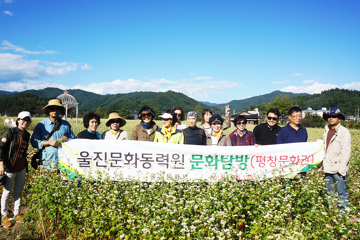  문화벤치마킹